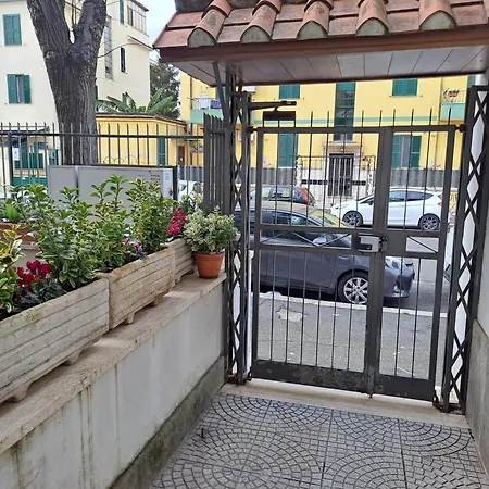 Francy Art House